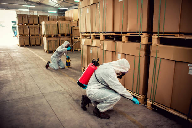 Best Pest Prevention Services  in Cockrell Hill, TX