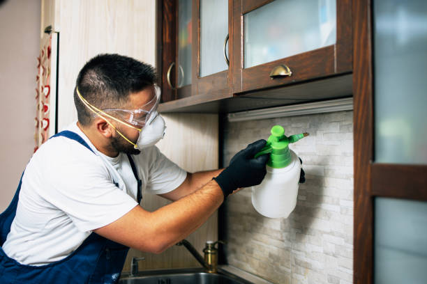 Best Best Pest Control Companies  in Cockrell Hill, TX