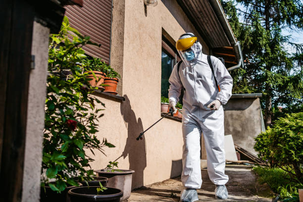 Pest Control for Restaurants in Cockrell Hill, TX