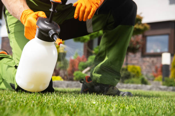 Best Affordable Pest Control Services  in Cockrell Hill, TX