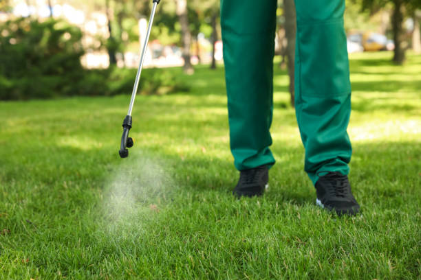 Best Commercial Pest Control Services  in Cockrell Hill, TX