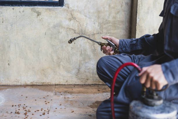 Best Best Pest Control Companies  in Cockrell Hill, TX